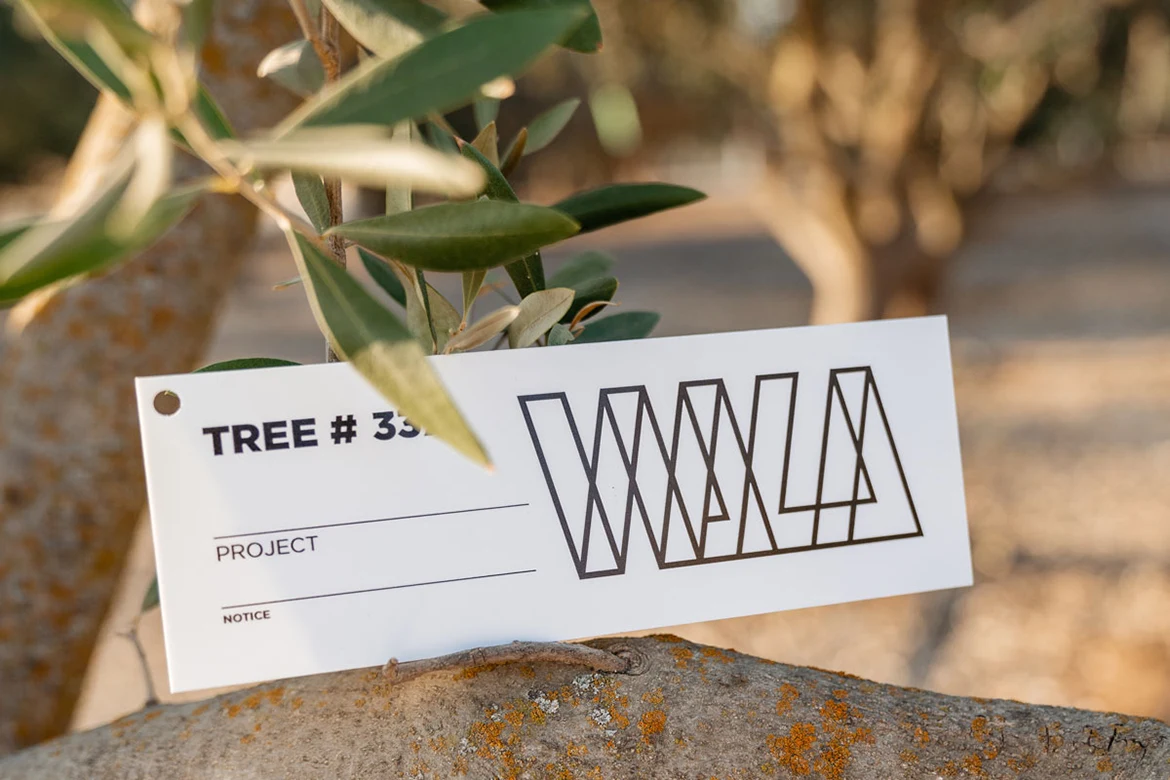 WALA brochure